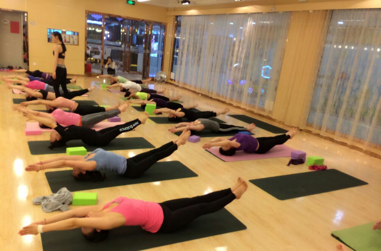 初中高级系统全能瑜伽教练培训班(慢班)_初中