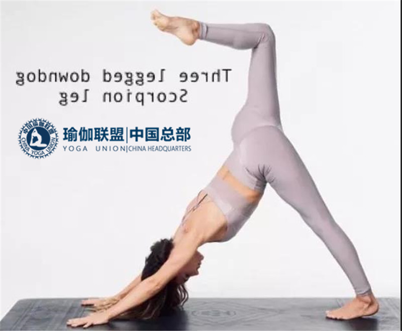 瑜伽教练考证