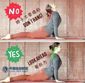 练习瑜伽教练体式你忽略了哪些要点？教你4个识别要点体式！