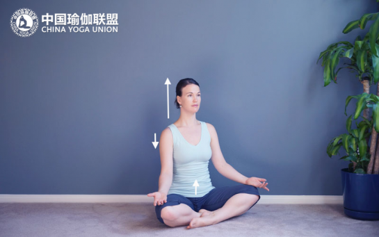 瑜伽教练正确发力用什么体式练？告诉你7个正确发力体式！